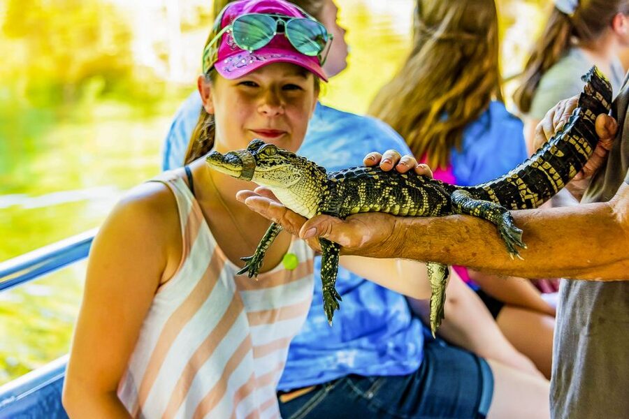 New Orleans: Bayou Swamp Tour and Oak Alley Plantation Tour - Manchac Swamp by covered boat