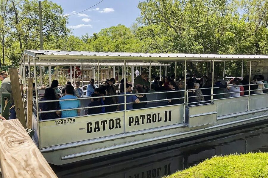 New Orleans: Bayou Swamp Tour and Oak Alley Plantation Tour - Is this a good choice for you?