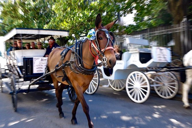 New Orleans French Quarter and More Carriage Ride - Napoleon House and the Pontalba Buildings