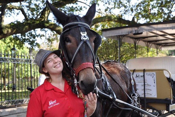 New Orleans French Quarter and More Carriage Ride - What the guide adds to the ride