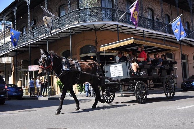 New Orleans French Quarter and More Carriage Ride - Comfort, weather, and the mule-drawn pace