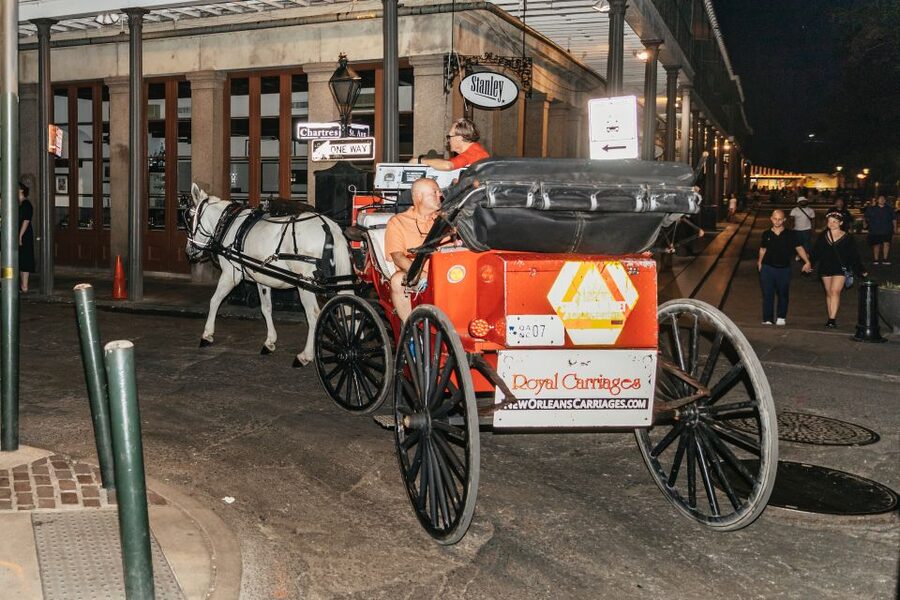 New Orleans: French Quarter Sightseeing Carriage Ride - Faubourg Marigny changes the scenery