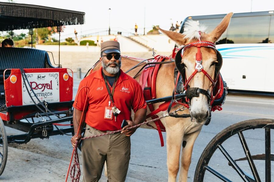 New Orleans: French Quarter Sightseeing Carriage Ride - The guides make or break the hour