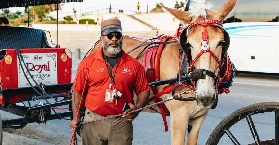 New Orleans: French Quarter Sightseeing Carriage Ride - The mule is part of the experience
