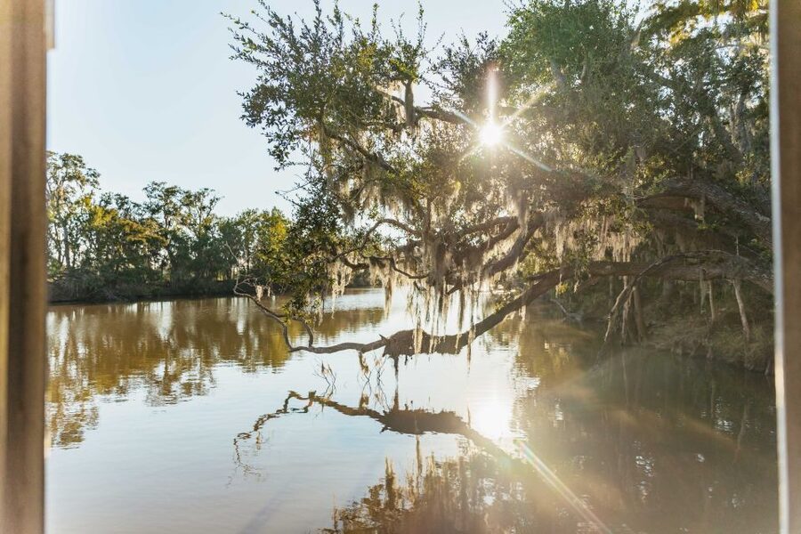 New Orleans: Guided Swamp Cruise by Tour Boat - Five things worth knowing before you book