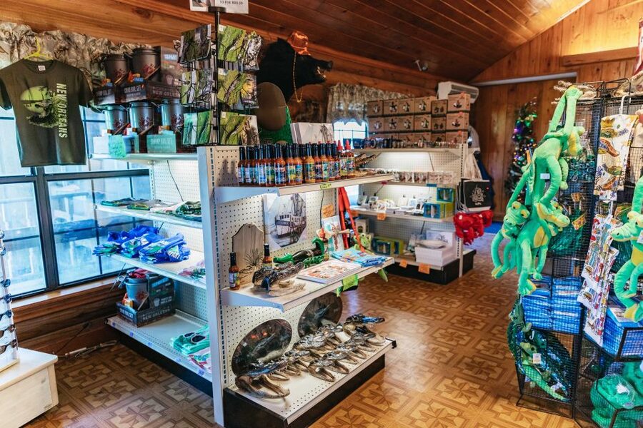 New Orleans: Guided Swamp Cruise by Tour Boat - Who should choose this swamp cruise