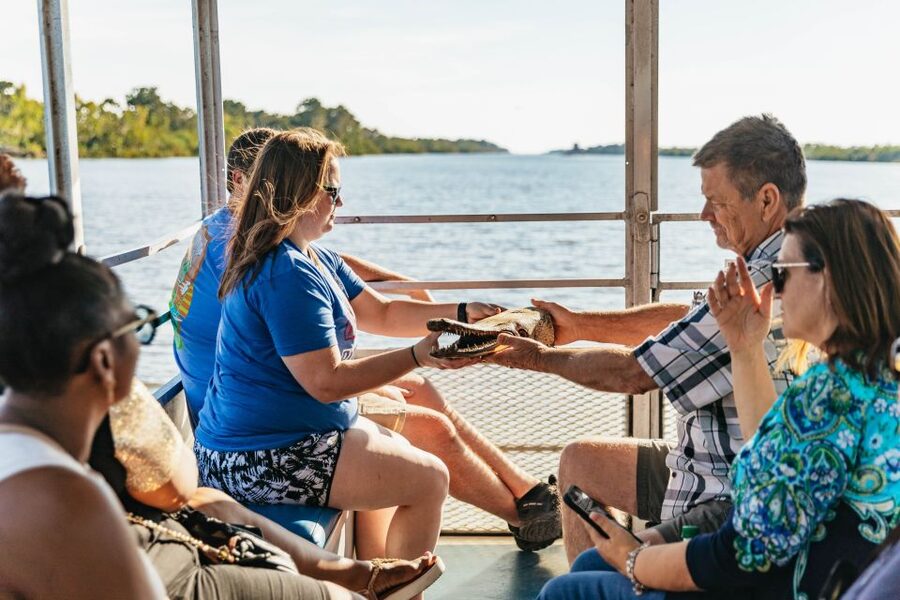 New Orleans: Guided Swamp Cruise by Tour Boat - Cajun life and 2,000 years of local history