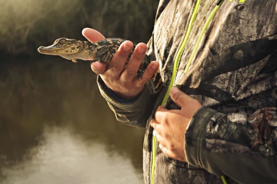 New Orleans: High Speed 16 Passenger Airboat Ride - Alligators, birds, and the chance factor