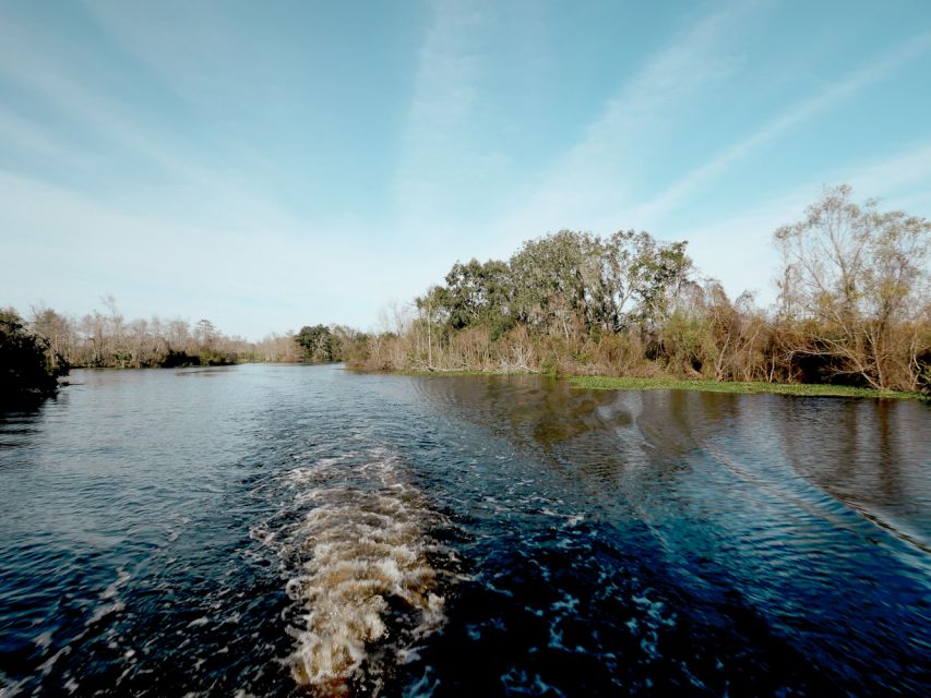 New Orleans: High Speed 16 Passenger Airboat Ride - Who will enjoy this most