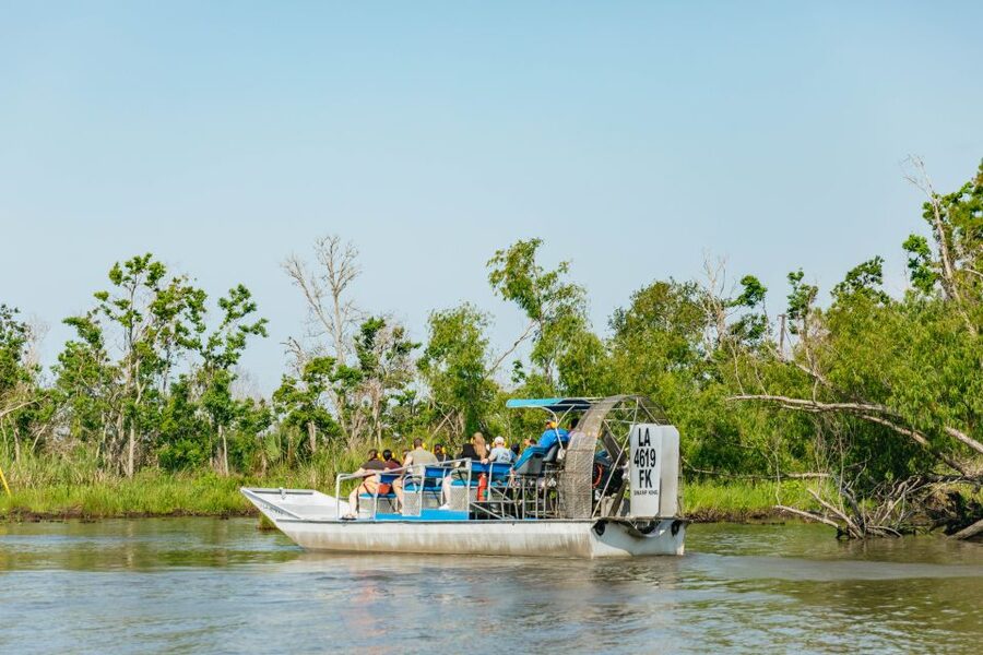 New Orleans: High Speed 9 Passenger Airboat Tour - From the French Quarter to the Barataria wetlands