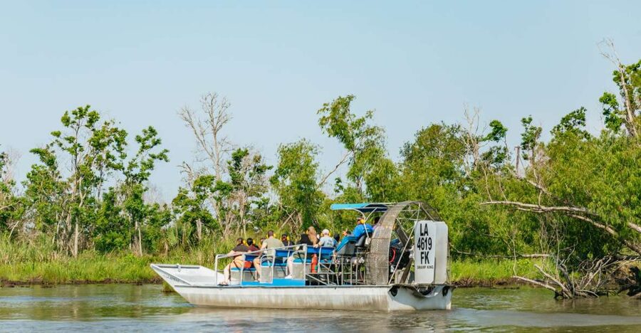 New Orleans: High Speed 9 Passenger Airboat Tour - Finding alligators in the reeds