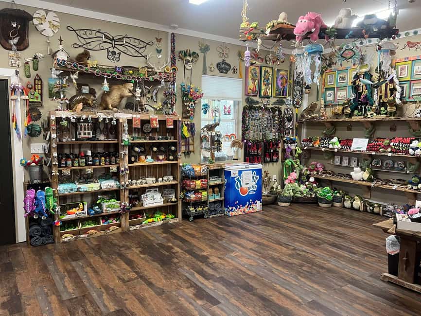 New Orleans Manchac Bayou Swamp Cruise W/ Optional Pick-Up - A possible Oak Alley combination
