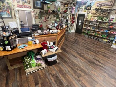 New Orleans Manchac Bayou Swamp Cruise W/ Optional Pick-Up