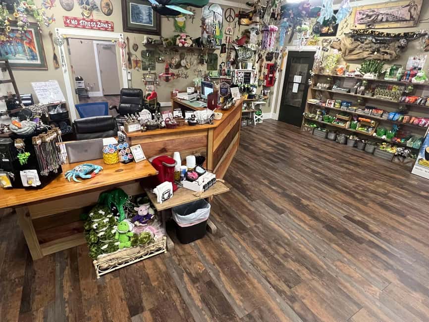 New Orleans Manchac Bayou Swamp Cruise W/ Optional Pick-Up - What to wear and bring
