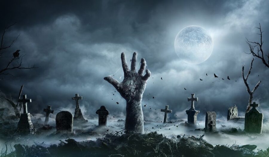 New Orleans: Night Cemetery and Ghost BYOB Bus Tour - Key points to know before you book
