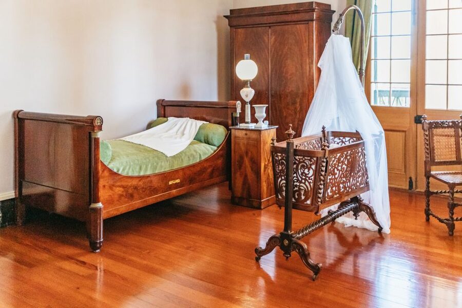 New Orleans: Oak Alley Plantation & Airboat Swamp Combo Tour - What an open airboat ride feels like