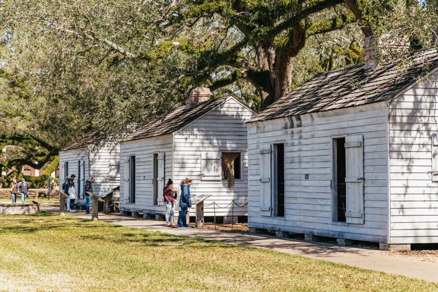 New Orleans: Oak Alley Plantation & Airboat Swamp Combo Tour - Who should book this day trip