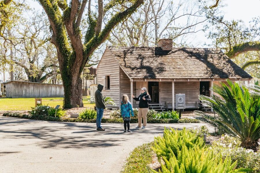 New Orleans: Oak Alley Plantation & Airboat Swamp Combo Tour - Should you book the Oak Alley and airboat combination?