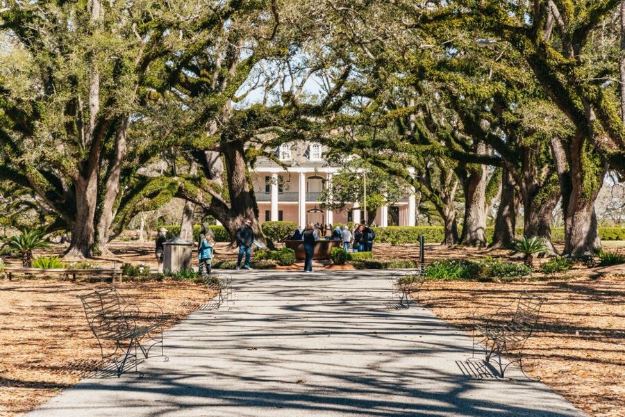New Orleans: Oak Alley Plantation & Airboat Swamp Combo Tour - Pickup from your New Orleans hotel