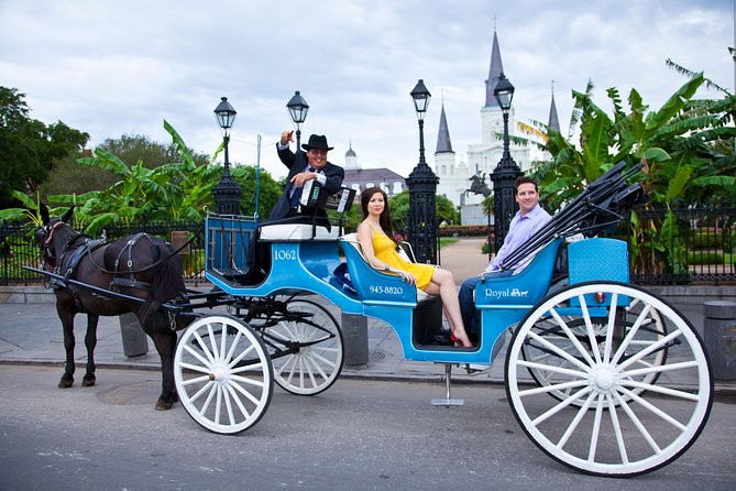 New Orleans Private Carriage Tour of the French Quarter - Why a carriage is a smart first look at New Orleans