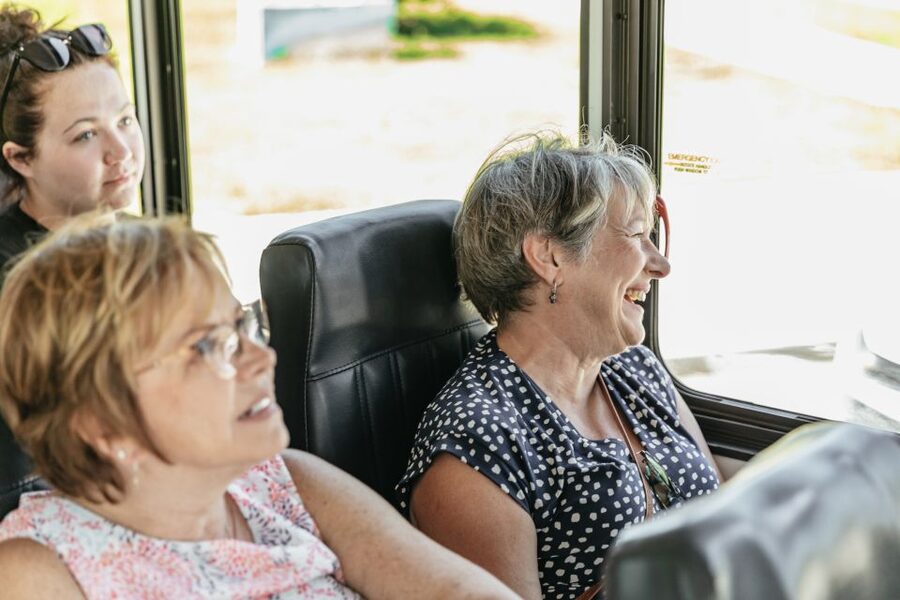 New Orleans: Sightseeing Bus Tour - City Park and a 15-minute beignet break