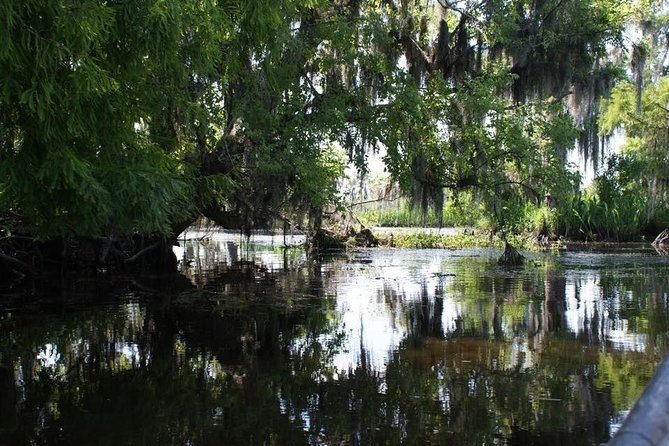 New Orleans Small-Group Airboat Swamp Tour - From New Orleans to Marrero and Barataria Preserve