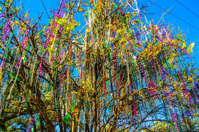 New Orleans Small-Group City Tour by Van - Hurricane Katrina and the city’s continuing story
