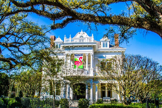 New Orleans Small-Group City Tour by Van - What the van format adds