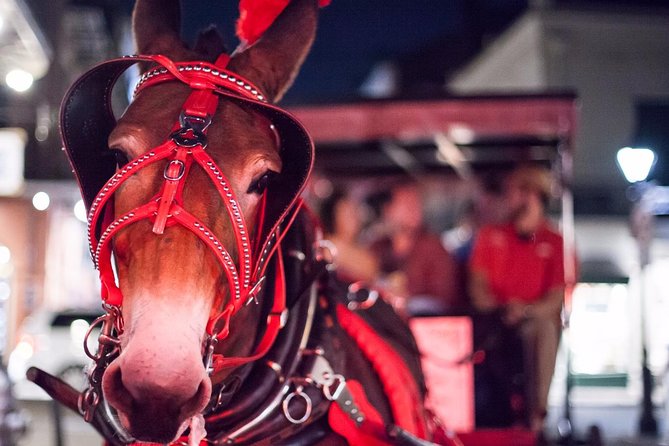 New Orleans Small-Group Haunted History Carriage Tour - A slow ride into New Orleans after dark