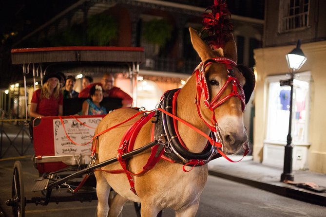 New Orleans Small-Group Haunted History Carriage Tour - Starting at Jackson Square on Decatur Street