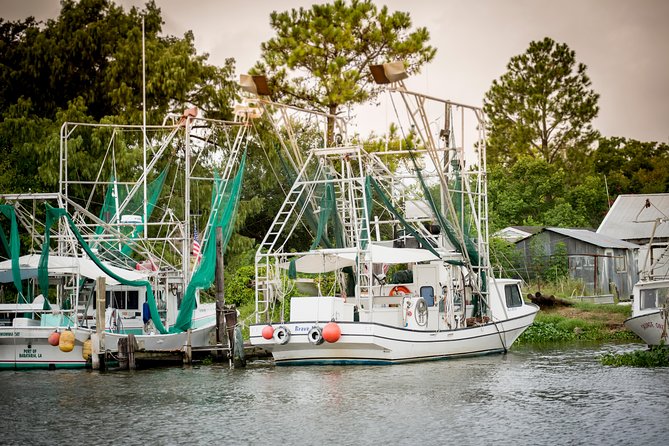 New Orleans Swamp and Bayou Alligator Tour - Weather, clothing, and practical comfort