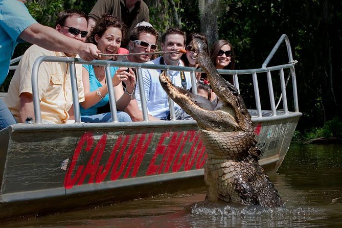 New Orleans Swamp and Bayou Boat Tour with Transportation - Key points before you book