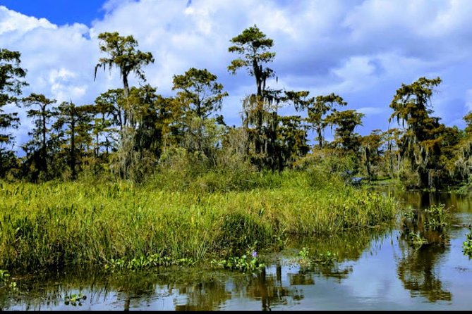 New Orleans Swamp Tour Boat Adventure with Transportation - Timing, weather, and cancellation details