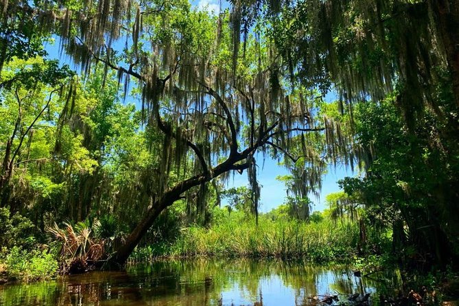 New Orleans Swamp Tour Boat Adventure with Transportation - The cultural side of the swamp