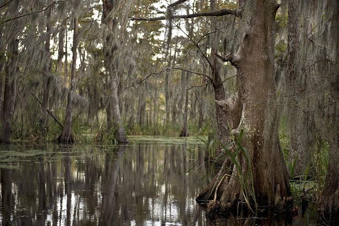 New Orleans Swamp Tour Boat Adventure - Following the water into Barataria Preserve