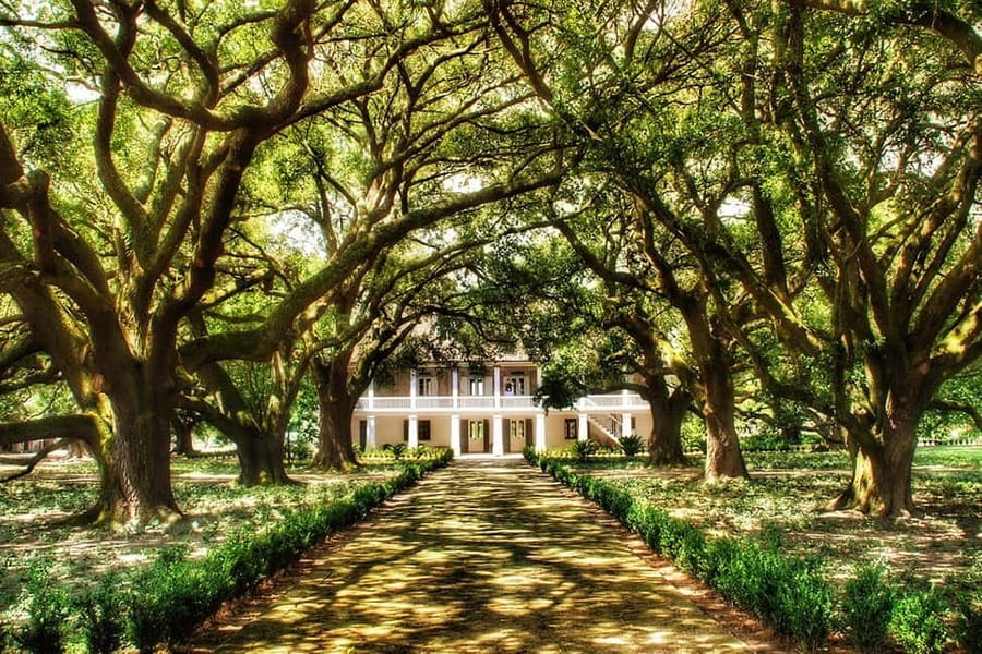 New Orleans: Whitney Plantation Tour with Transportation - Why Whitney Plantation feels different