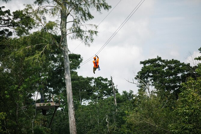 New Orleans Zipline Swamp Tour - Quick take: five lines above a Louisiana swamp