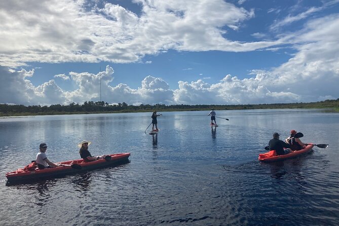 New Smyrna Dolphin and Manatee Kayak and SUP Adventure Tour - From Divito Park to New Smyrna’s Quiet Water