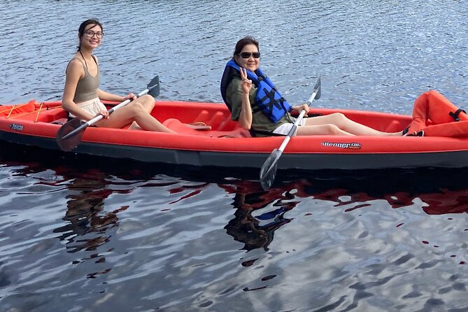 New Smyrna Dolphin and Manatee Kayak and SUP Adventure Tour - Is the $65 Price Fair?