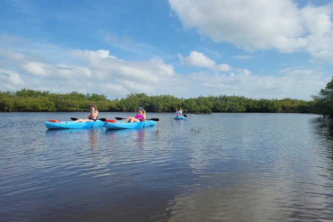 New Smyrna Dolphin and Manatee Kayak and SUP Adventure Tour - Learning the Waterway as You Go