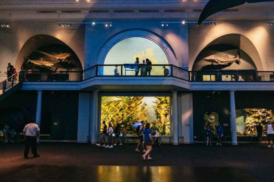 New York City: American Museum of Natural History Ticket - Who will get the most from this visit?