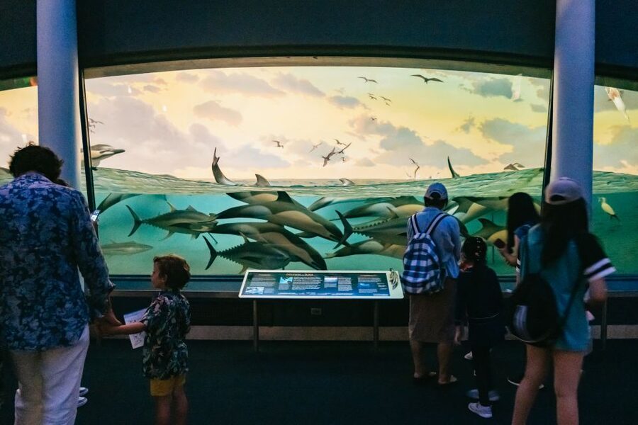 New York City: American Museum of Natural History Ticket - Ticketed exhibitions that change the value of your ticket