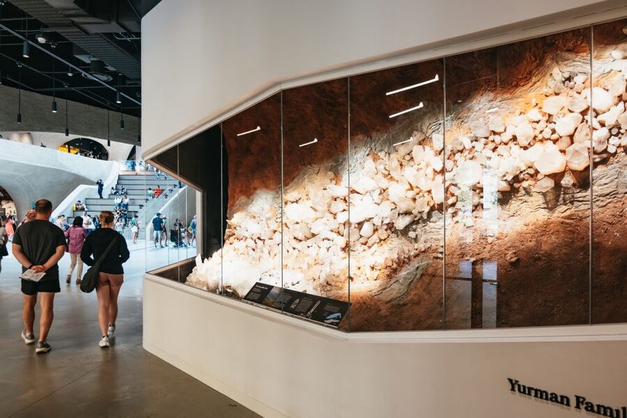 New York City: American Museum of Natural History Ticket - How long you need and how to pace the day