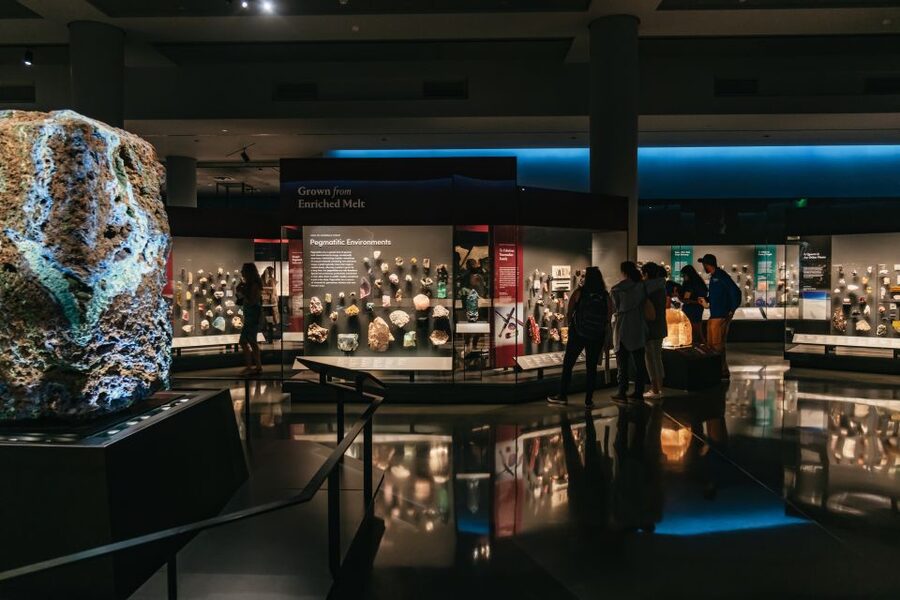 New York City: American Museum of Natural History Ticket - Is the $37 price good value?