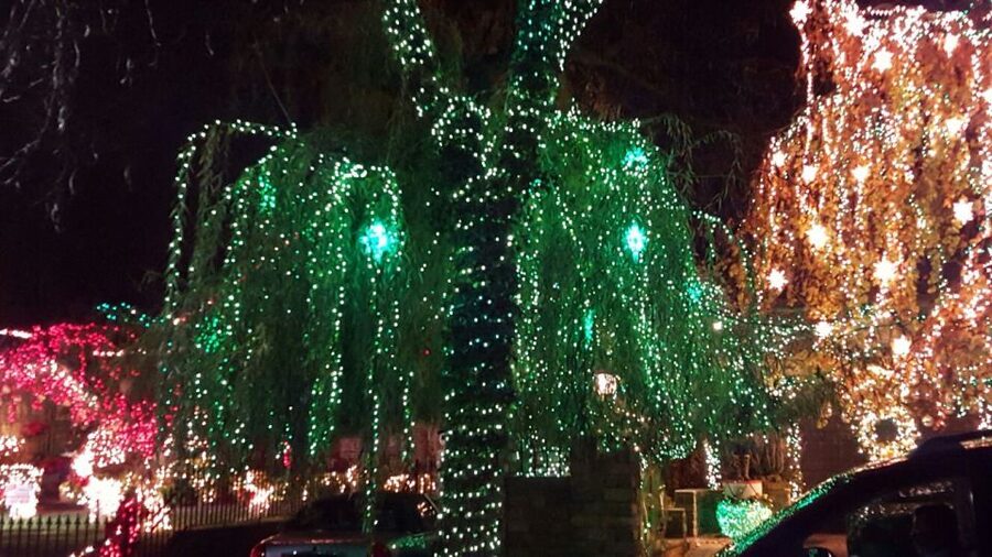 New York City: Dyker Heights Christmas Lights Tour - Bay Ridge adds a city view before the lights