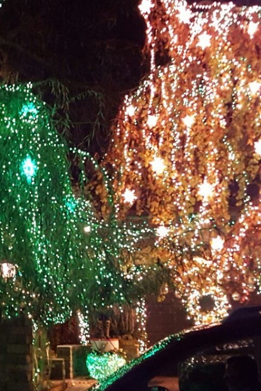 New York City: Dyker Heights Christmas Lights Tour - Walking through Dyker Heights Christmas displays