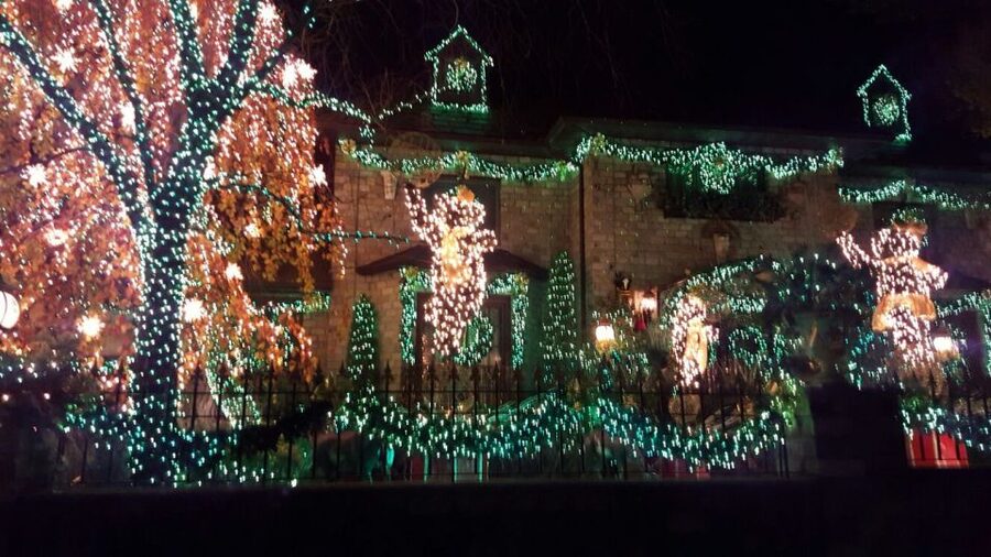 New York City: Dyker Heights Christmas Lights Tour - DUMBO offers the tour’s best skyline moment