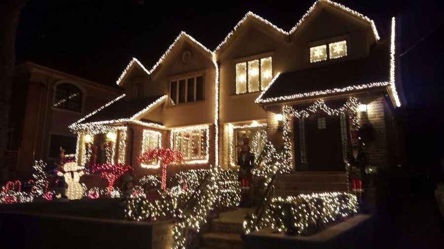 New York City: Dyker Heights Christmas Lights Tour - Guides, music, and the tone of the ride