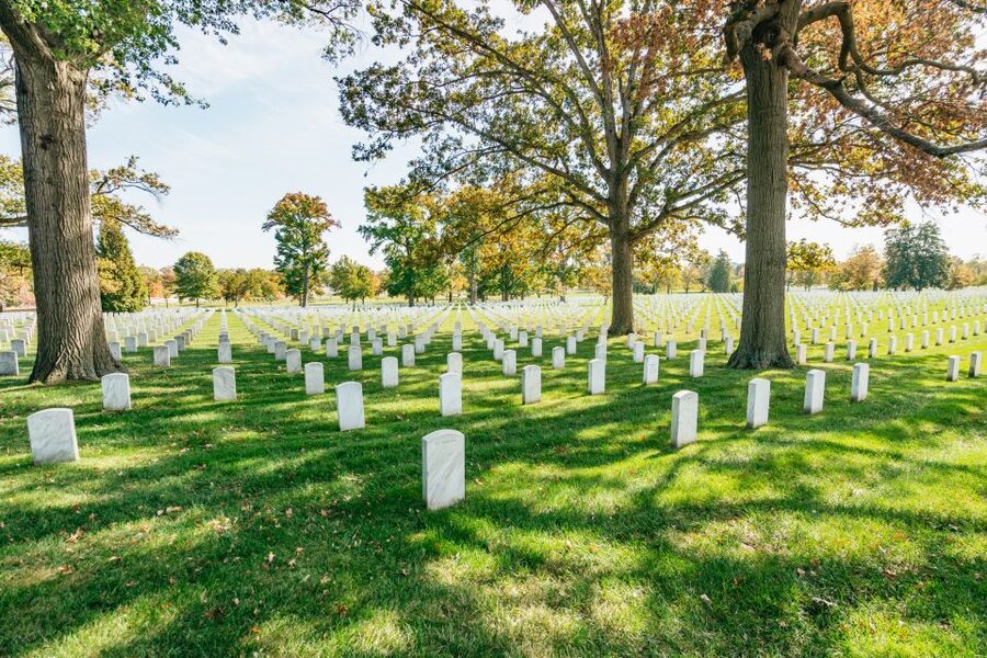 New York City: Full-Day Washington DC City Highlights Tour - Should you book it?