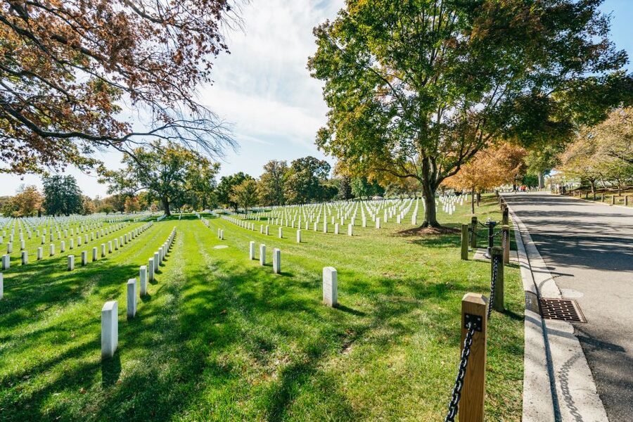 New York City: Full-Day Washington DC City Highlights Tour - Practical tips for making the day easier